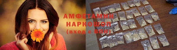 стаф Вязьма