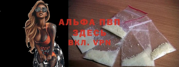 стаф Вязьма