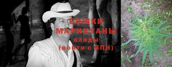 стаф Вязьма